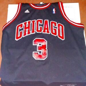 Chicago bulls Jersey